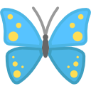 butterfly128
