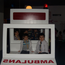 arilar_27