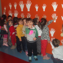 ugur_bocekleri_30