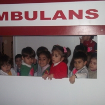 ugur_bocekleri_33