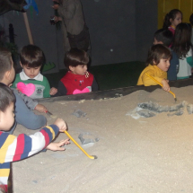 ugur_bocekleri_41