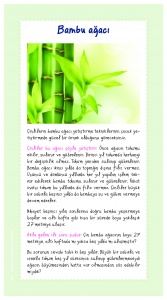 https://www.sefkatdunyasi.com/wp-content/uploads/2016/10/aile_klavuzu_0007-167x300.jpg