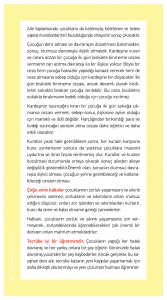https://www.sefkatdunyasi.com/wp-content/uploads/2016/10/aile_klavuzu_0039-167x300.jpg